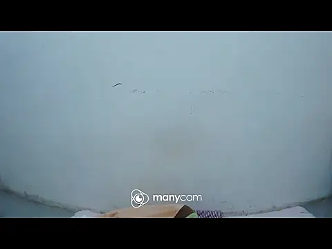 hottiemama69 online show from April 2026 10:52:02 AM