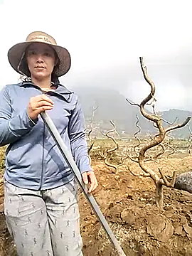 Alibabapi online show from March 2026 02:17:02 AM