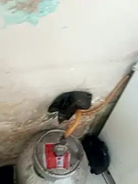  - putinha - online show from December 2025 03:18:02 PM