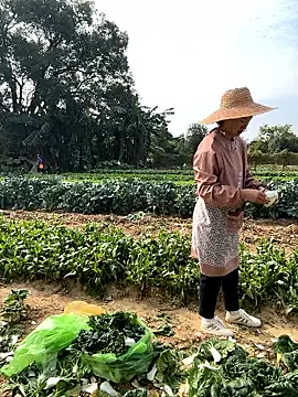 A-ZJunn online show from January 2026 06:18:02 AM