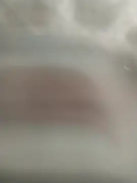 Snapshot of kral4531 chatting on December 2025 03:50:02 PM kral4531 online show from December 2025 03:50:02 PM