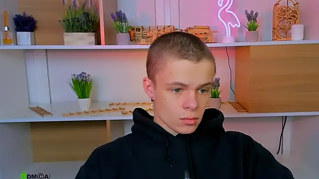 veldi to online show from December 2025 12:33:02 PM