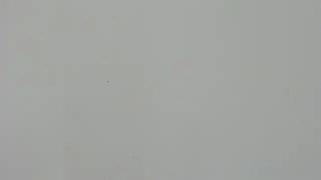 Snapshot of Ladymadinght chatting on February 2026 02:01:02 PM Ladymadinght online show from February 2026 02:01:02 PM