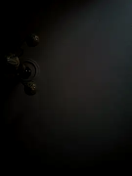 Snapshot of xristosss321 chatting on December 2025 02:25:02 PM xristosss321 online show from December 2025 02:25:02 PM