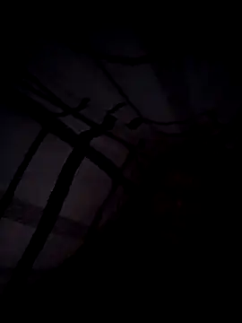 scotbhoyscott online show from March 2026 04:17:02 AM