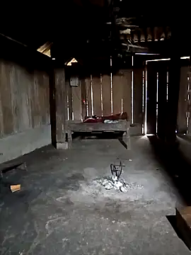 ava-dellght online show from February 2026 06:40:02 AM