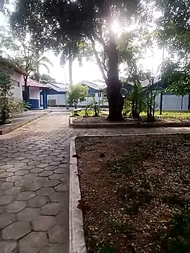 Mchljjk online show from January 2026 10:39:02 AM