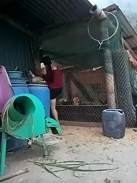 sary-hot2x online show from April 2026 11:28:01 AM