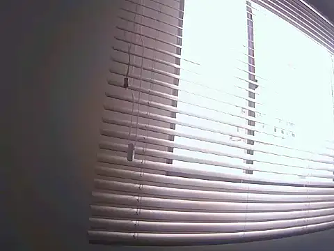 Fernanda andrew online show from March 2026 03:51:01 PM