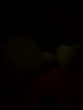 Davvidsm online show from January 2026 07:01:01 AM