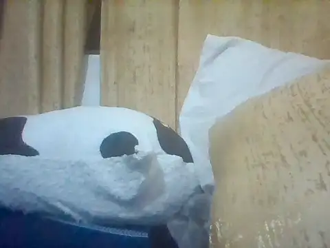 Thand03 online show from March 2026 09:04:02 PM