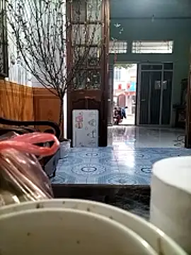 Nor6868 online show from February 2026 01:46:01 AM