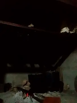 Amiluli online show from January 2026 01:39:01 PM