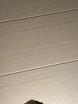 Big German cock974 online show from February 2026 09:00:02 PM