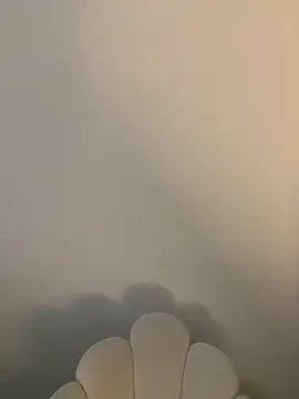 kimze7 online show from February 2026 12:31:01 PM