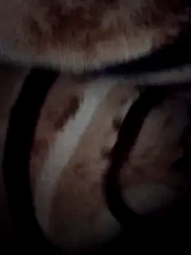 pihuu1313 online show from February 2026 03:21:02 AM