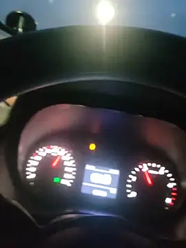 Socorristagato online show from December 2025 09:31:02 PM