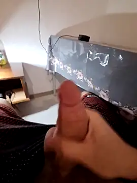 Snapshot of Berk_3113 chatting on February 2026 11:49:02 PM Berk 3113 online show from February 2026 11:49:02 PM