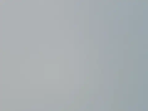 Fish 136 online show from April 2026 01:28:01 AM