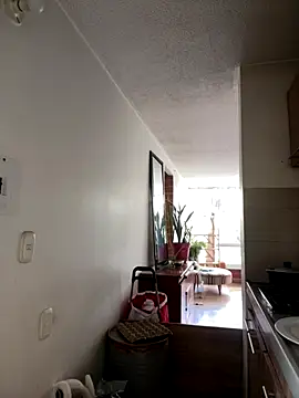  NickJuniorr online show from December 2025 07:53:02 PM