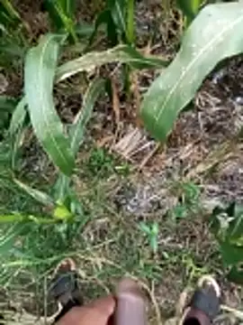 loki-king-143 online show from March 2026 09:46:01 AM