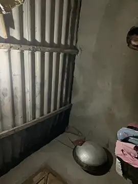 Nika-be online show from March 2026 12:34:01 PM