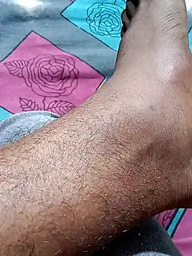 Nick universal online show from January 2026 03:55:02 AM