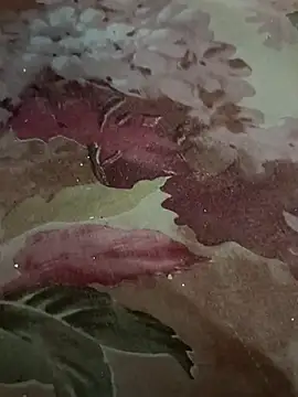 Snapshot of Niteenku chatting on February 2026 07:56:01 AM Niteenku online show from February 2026 07:56:01 AM