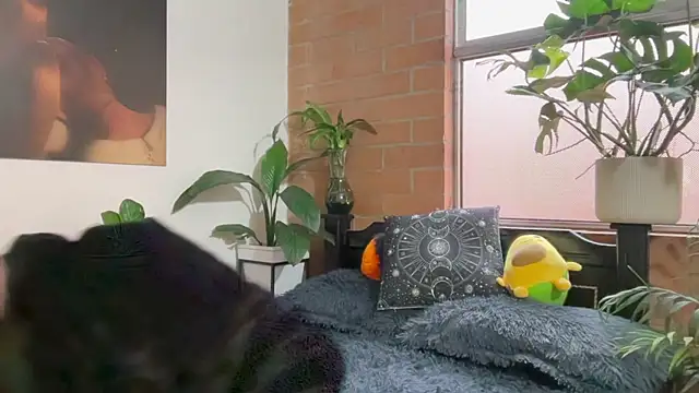 Andy Belier23 online show from February 2026 11:54:01 AM