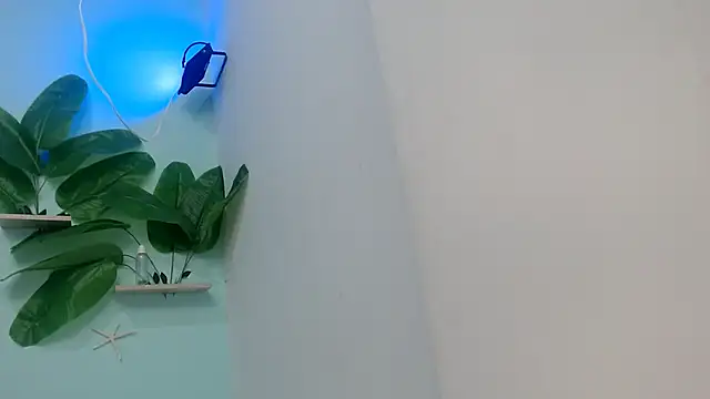 NOVAHOT98 online show from January 2026 05:51:02 PM