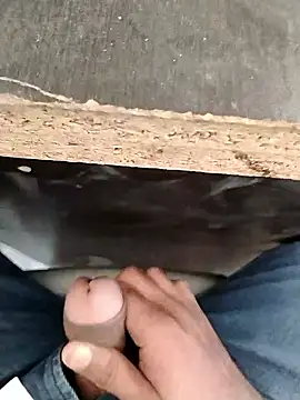 hardi9048 online show from January 2026 07:57:01 AM