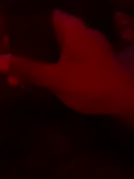 DaveeeIsTheone online show from March 2026 08:04:01 AM