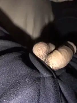 Snapshot of lion_kun chatting on December 2025 09:13:02 AM lion kun online show from December 2025 09:13:02 AM