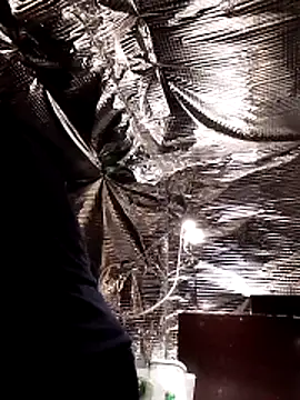 Quebec46 online show from February 2026 10:10:02 PM