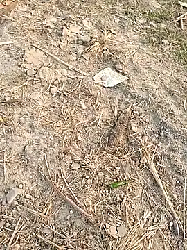 Snapshot of sexloverg7 chatting on December 2025 10:41:02 AM sexloverg7 online show from December 2025 10:41:02 AM