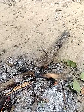 Snapshot of rahulsexybhabhi chatting on December 2025 05:02:01 AM rahulsexybhabhi online show from December 2025 05:02:01 AM