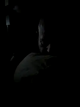 Snapshot of K9handler1 chatting on December 2025 11:32:02 PM K9handler1 online show from December 2025 11:32:02 PM