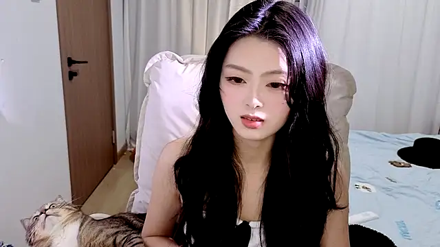 Koikoi    online show from February 2026 11:31:02 AM