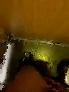 Thilandex online show from December 2025 01:56:02 AM