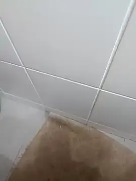 cdcdc21 online show from March 2026 05:51:02 PM