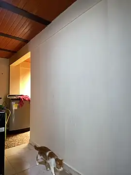 Noxveeltt online show from April 2026 06:16:01 PM