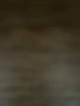 HarllyAlev online show from December 2025 02:45:02 PM