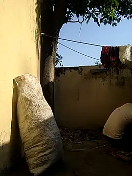 novio-de-la-tarde online show from April 2026 02:31:01 AM