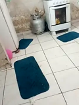 xxxxbucetuda  online show from December 2025 03:52:02 PM