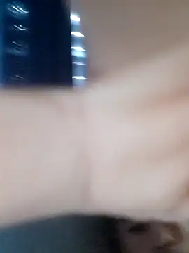 Rokan8181 online show from March 2026 08:47:02 PM