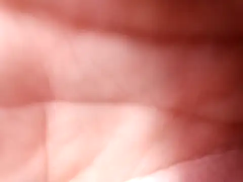 mellzinhacasada online show from February 2026 04:58:02 PM