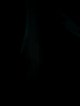 Snapshot of emzoss chatting on December 2025 05:14:01 AM emzoss online show from December 2025 05:14:01 AM