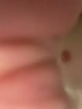 Snapshot of heath82841 chatting on February 2026 11:48:02 AM heath82841 online show from February 2026 11:48:02 AM