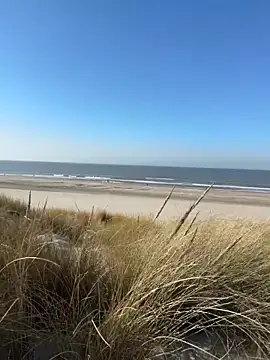 friemeldepiemel online show from March 2026 01:18:01 PM