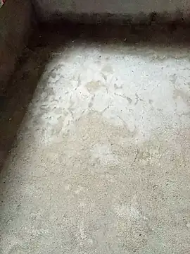 dakota-kis online show from February 2026 11:53:02 PM